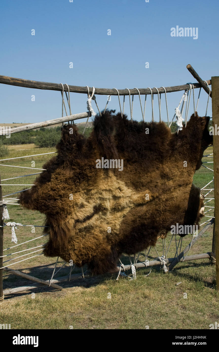 Tanning hides such as buffalo skins were stretched out onto racks