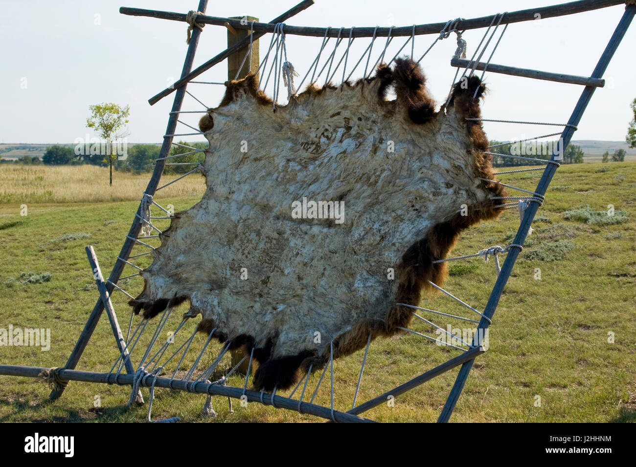 Animal hides clothing hi-res stock photography and images - Alamy Animal hides clothing hi-res stock photography and images - Alamy