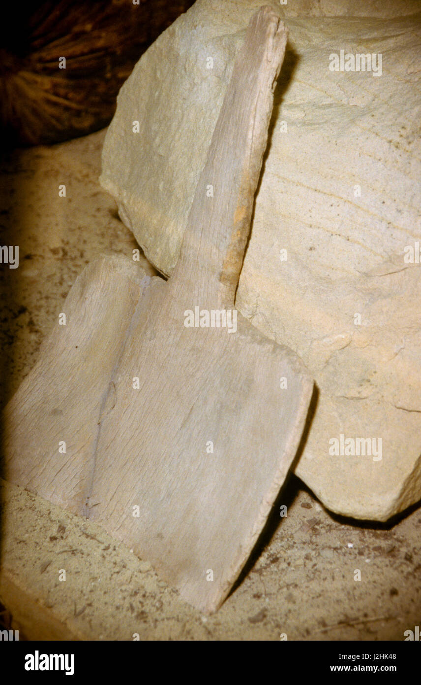 Wooden paddle used as a shovel for farming by the Ute Indians when they were moved to reservations in Utah Stock Photo