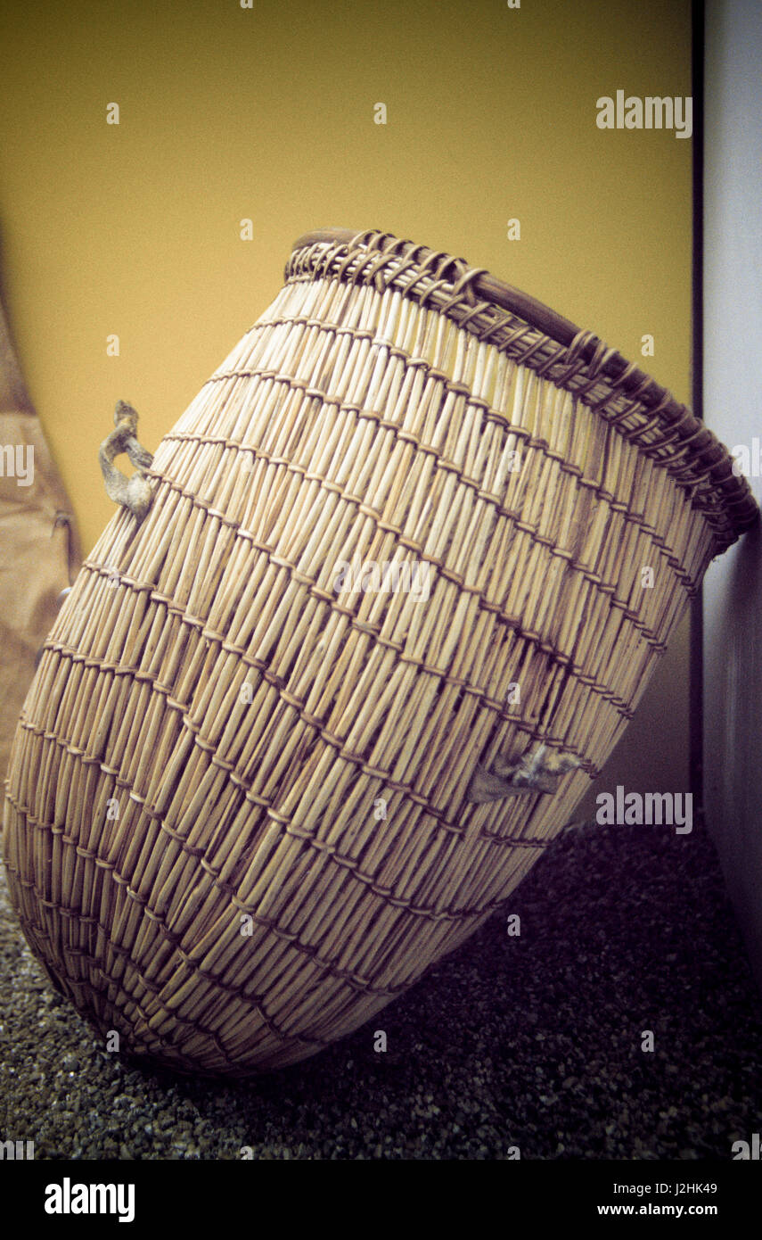 Gathering basket made from Tule reeds used by the Ute Indians to gather food items and store personal belongings. Stock Photo