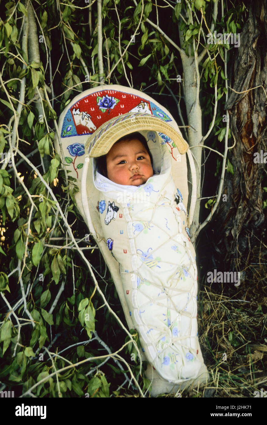 Native American baby laced inside of a traditional willow cradleboard