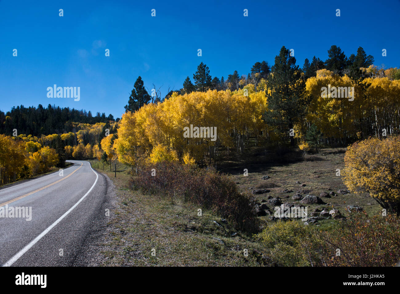 USA, Utah, Scenic Byway, Torrey to Boulder over Boulder Mountain