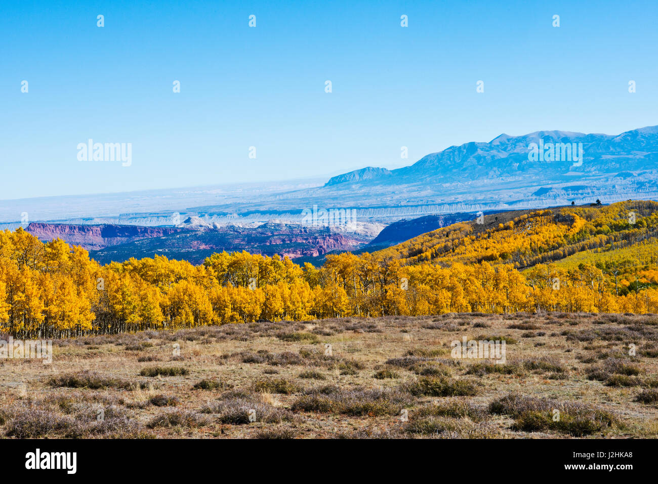 USA, Utah, Scenic Byway, Torrey to Boulder over Boulder Mountain