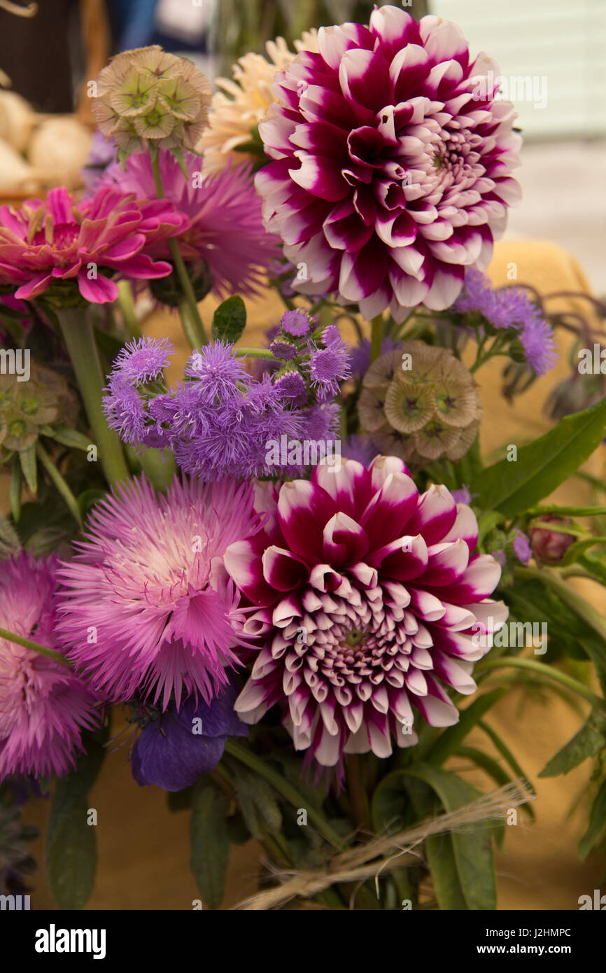 USA, Washington State, San Juan Islands, Orcas Island, Eastsound