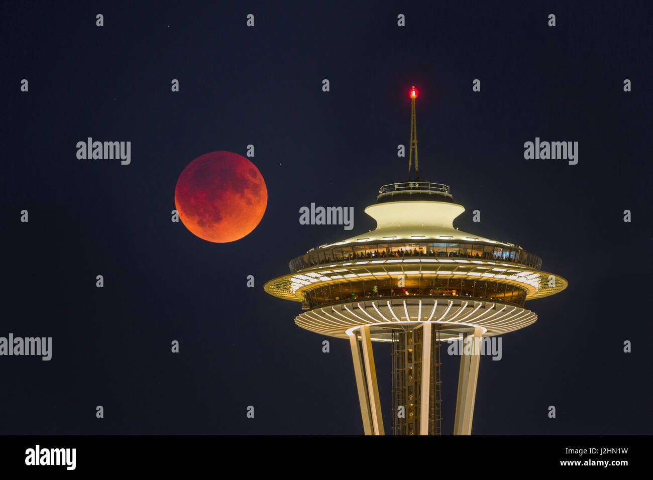 USA, Washington State. Blood moon (lunar eclipse) rises over Seattle