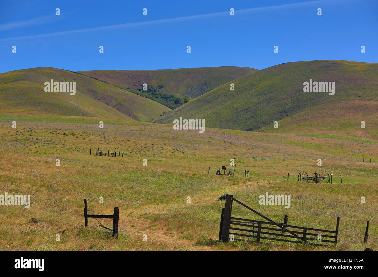 Columbia Hills State Park, Dallesport, Washington State. Green and