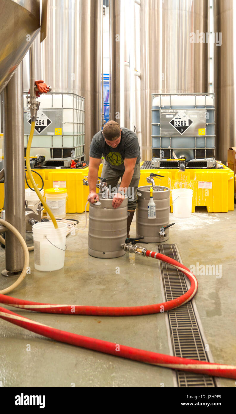 USA, Washington, Yakima Valley. Production worker fills a keg at Bale