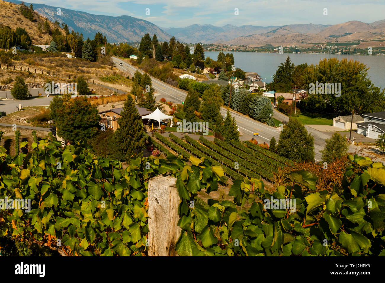 Chelan Washington Lake Chelan Winery Hours Washington Tsillan Winery Lake Chelan Vineyards Lake Chelan