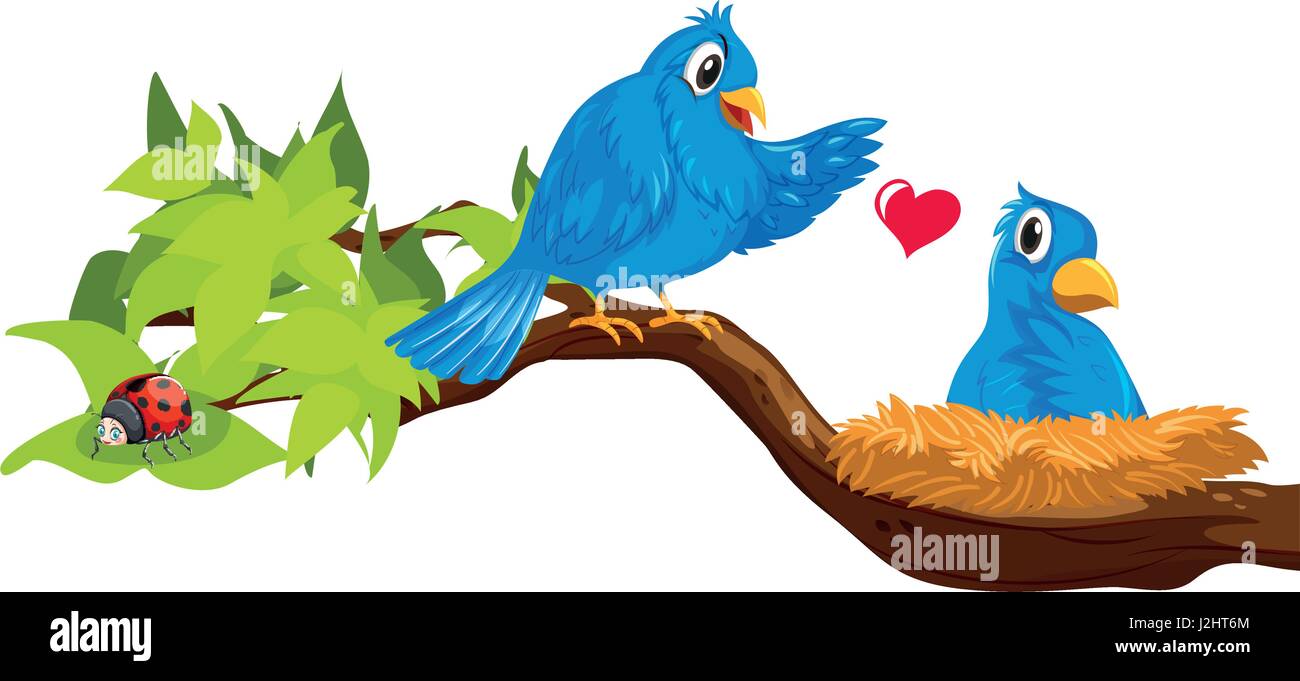 Two blue birds in nest illustration Stock Vector Image & Art - Alamy