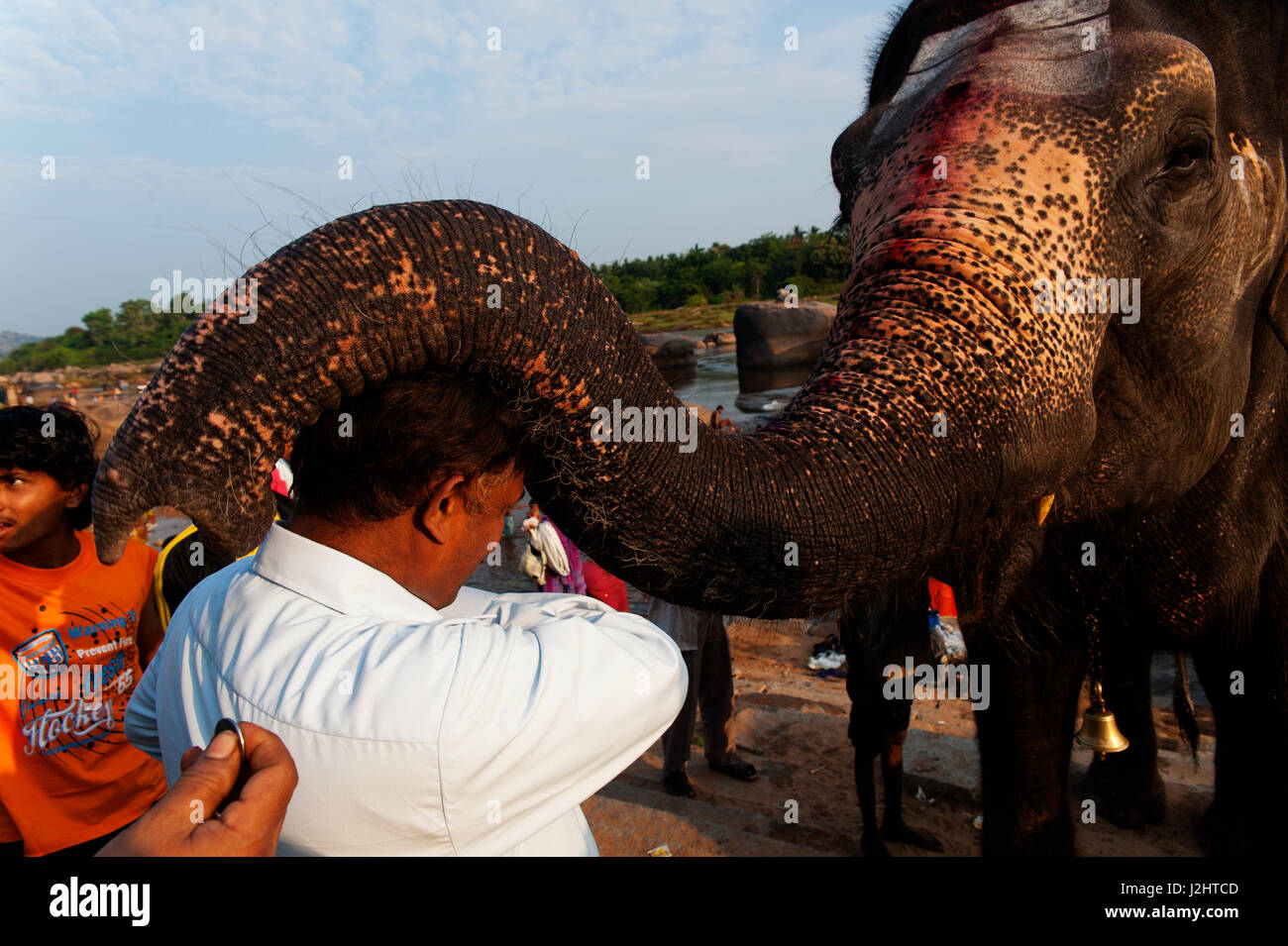 Laxmi the elephant blessing a man at Tungabhadra river, Hampi, Karnataka, India Stock Photo