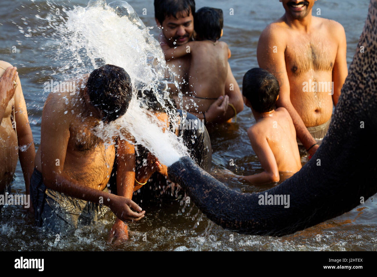 Laxmi elephant bathing people at Tungabhadra river, Hampi, Karnataka, India Stock Photo