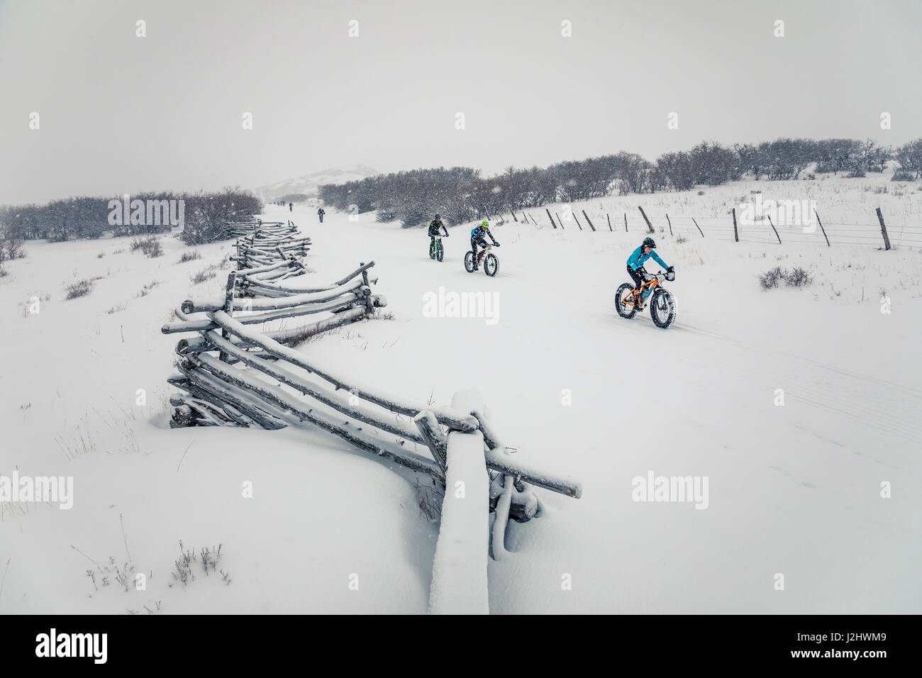 Lone Cone Fat Bike Challenge, Norwood, CO Stock Photo Alamy