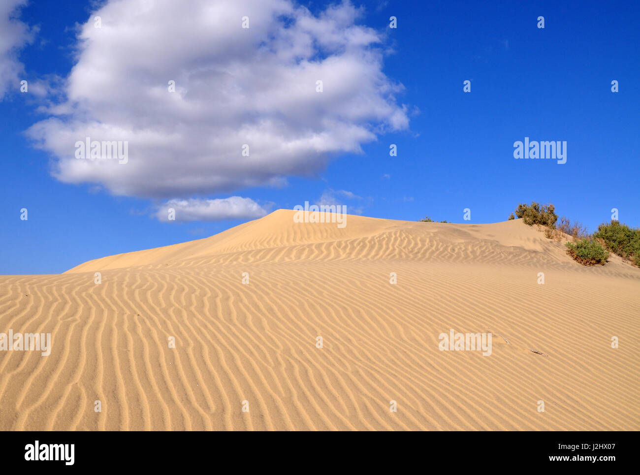 Dunes of Maspalomas on the blue sky background on Gran Canaria Canary island in Spain Stock Photo