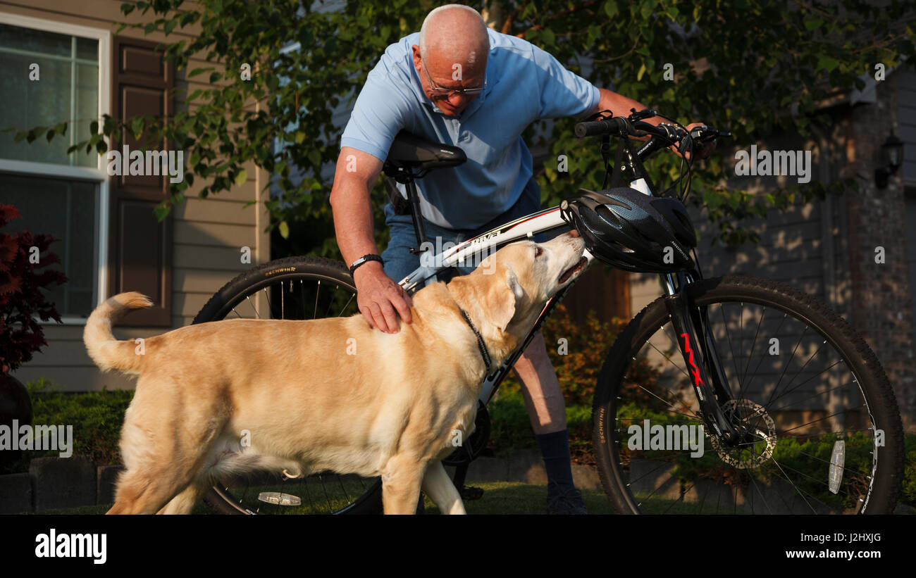 USA, Oregon, Keizer, Labrador Retriever with her master and his bike