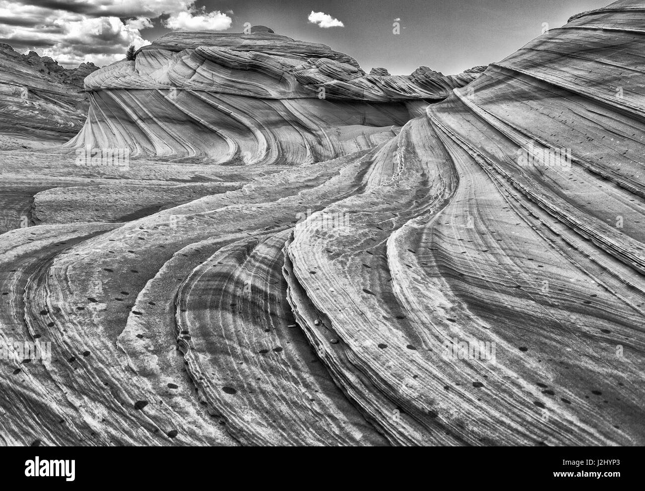 Second Wave Zion National Park Kanab, Utah, USA Stock Photo
