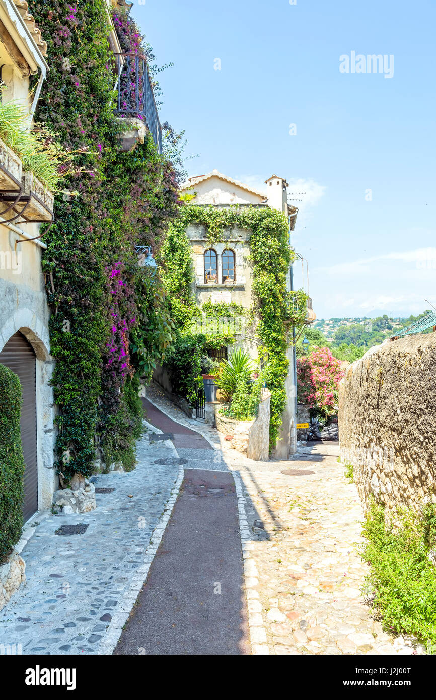 Vine covered homes along ancient street in St. Paul de Vence, Provence
