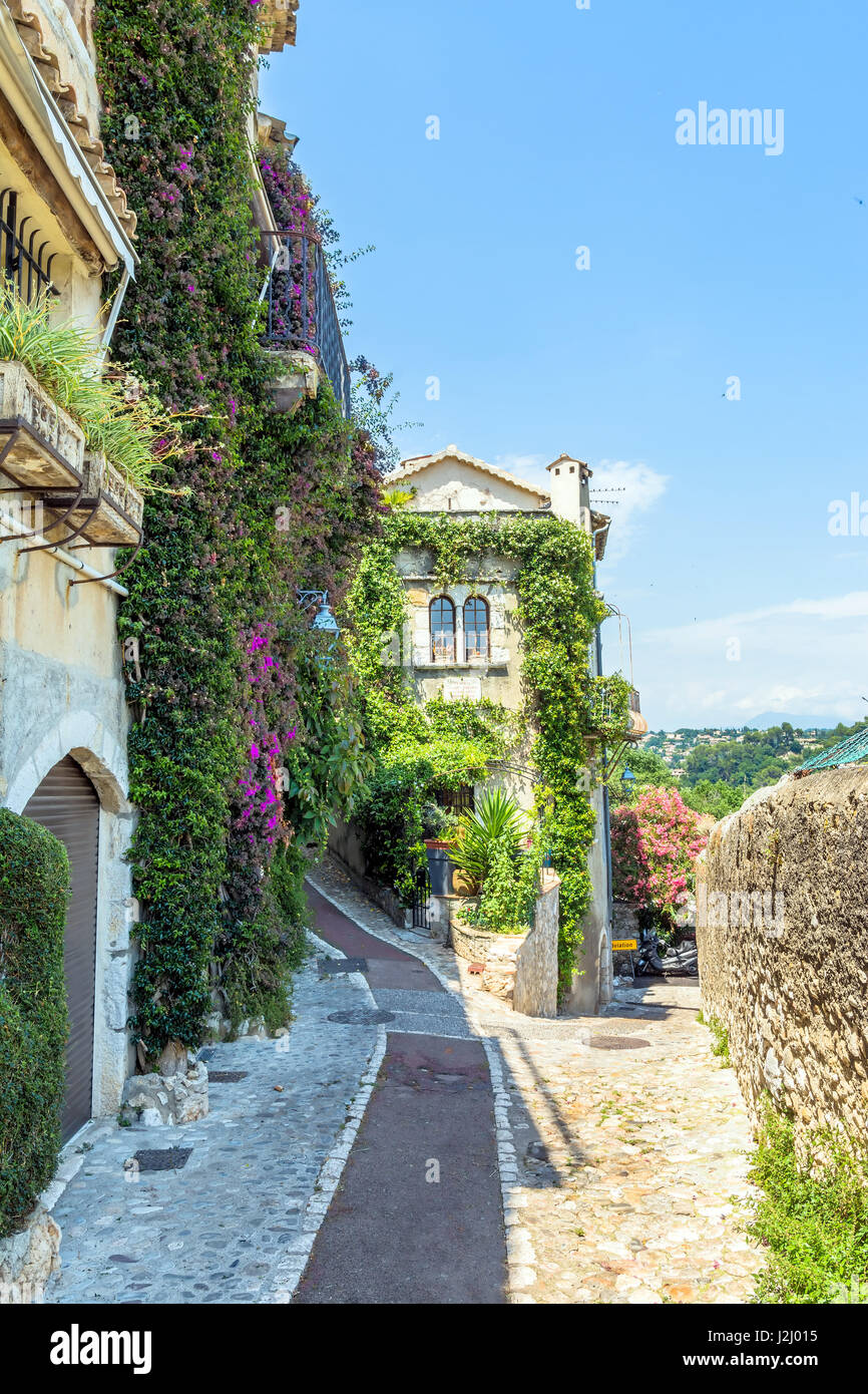 Vine covered homes along ancient street in St. Paul de Vence, Provence