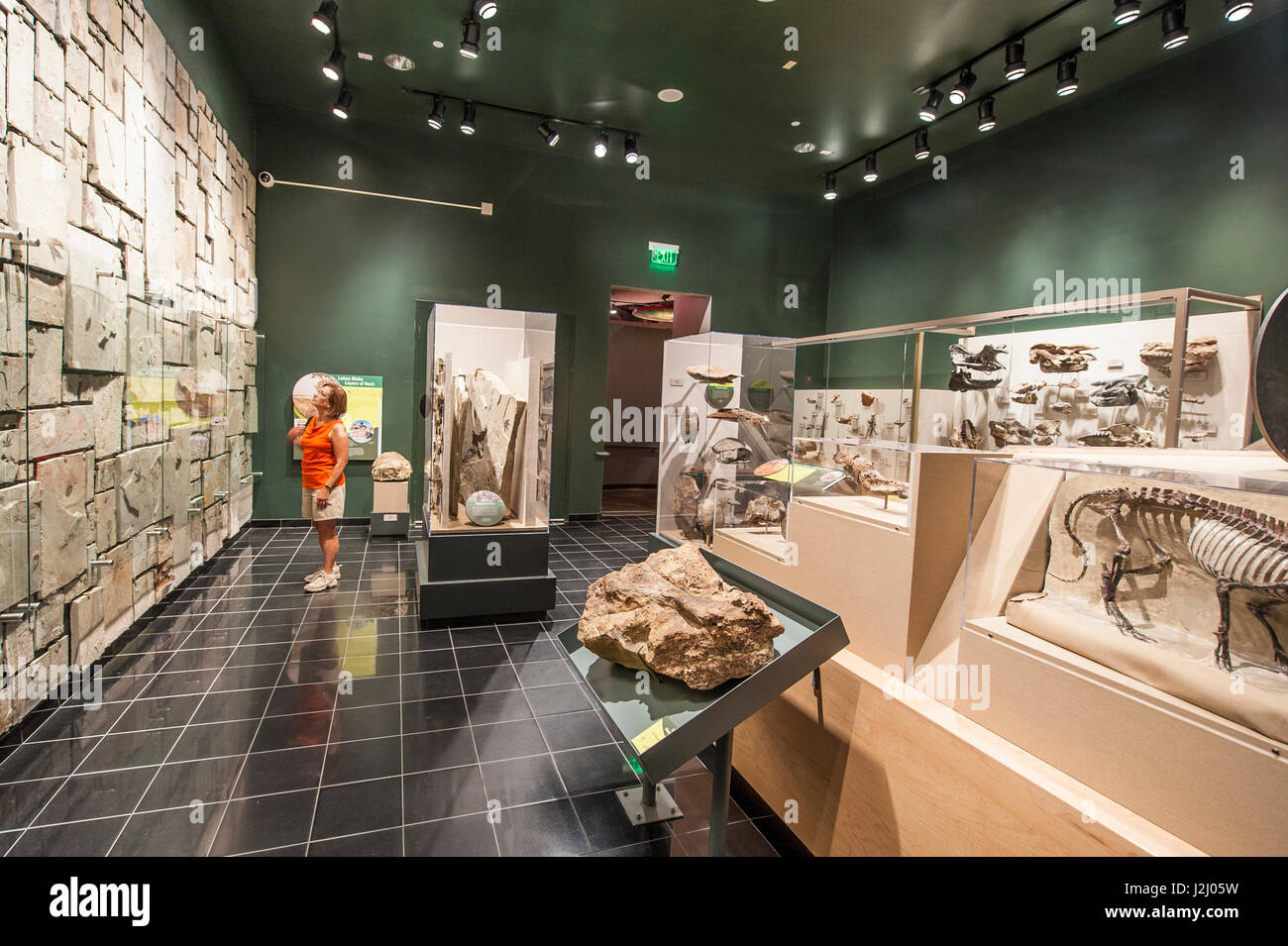 Utah Field House of natural History State park Museum, Vernal, Utah