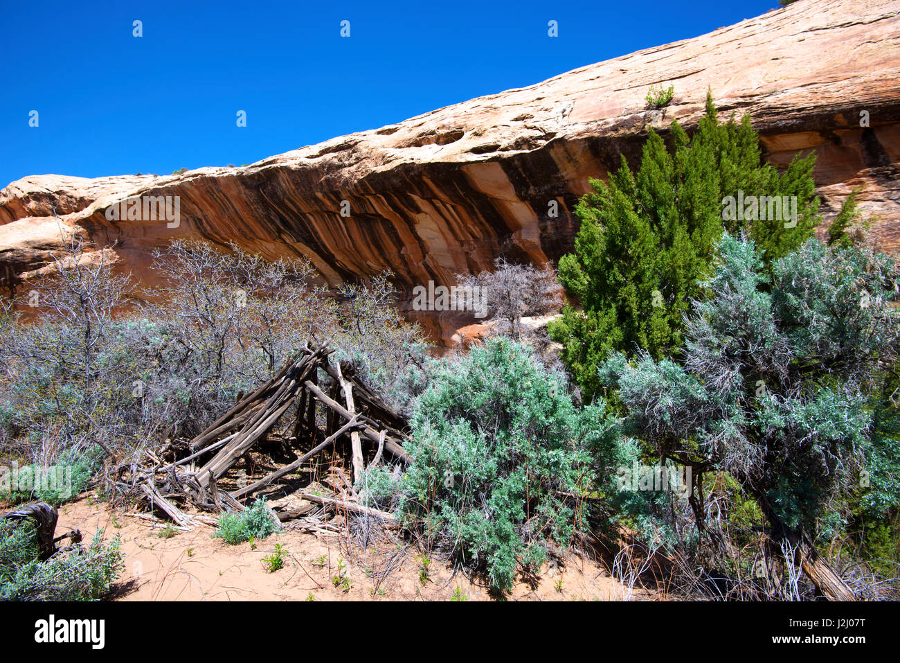 Double Stack Anasazi ruin in Butler Wash, Cedar Mesa, Utah. Butler Wash ruins. A 200 year-old Navajo wikiup in the Double-Stack canyon. (Large format sizes available) Stock Photo