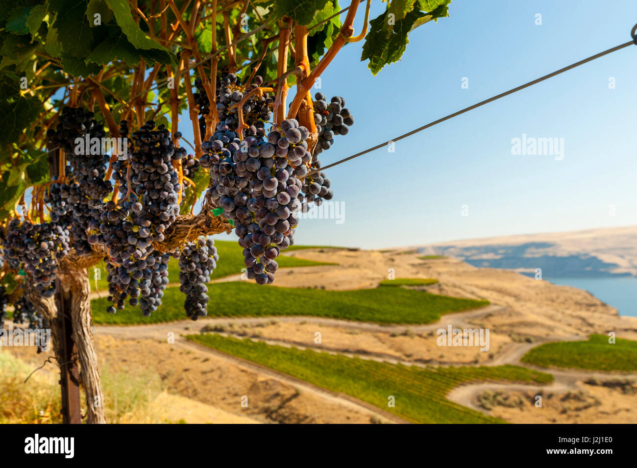 Usa, Washington State, Tri-Cities