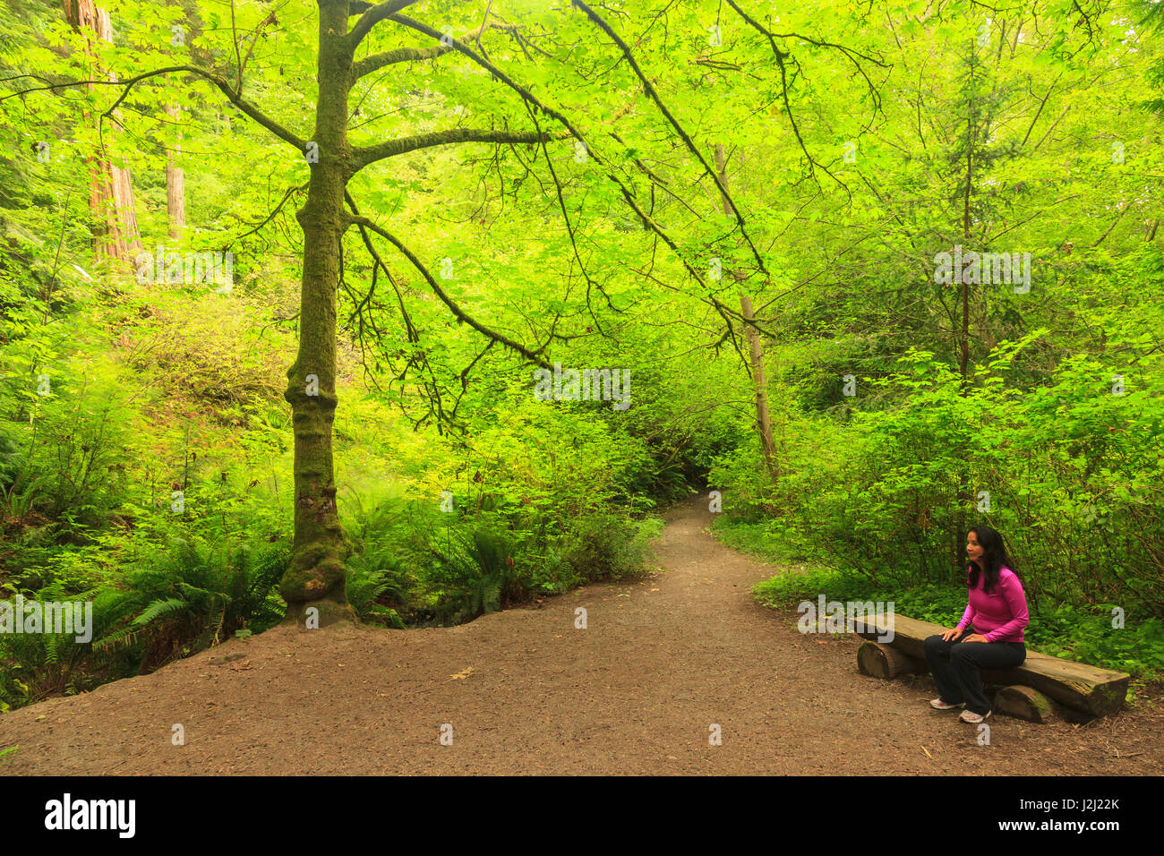 Woman, Schmitz Preserve Park, 53 acre old growth forest in West Seattle, WA, USA (MR) Stock Photo