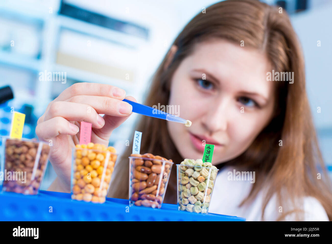 Female scientist testing foods in the laboratory Stock Photo Alamy
