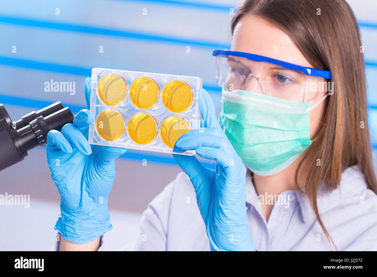 Female scientist wearing mask examining samples. Stock Photo