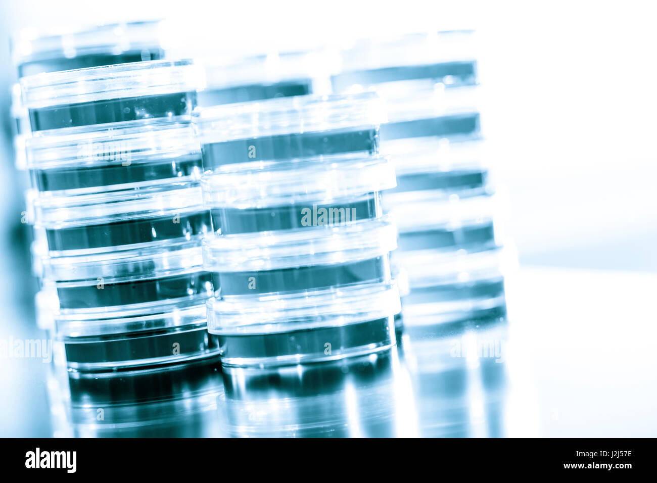 Petri dishes stacked up. Stock Photo