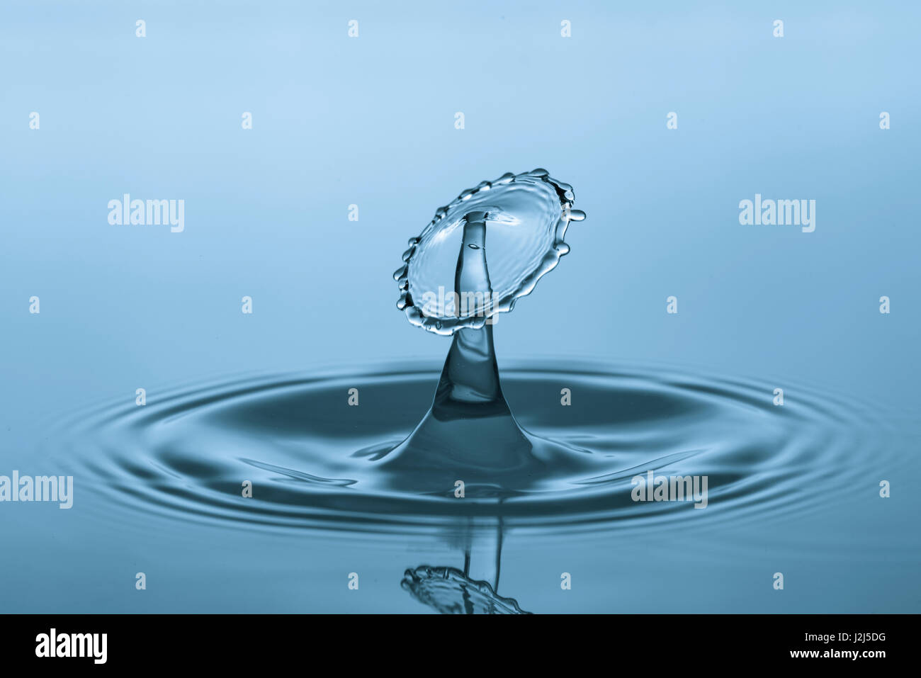 Water droplet on water surface Stock Photo Alamy