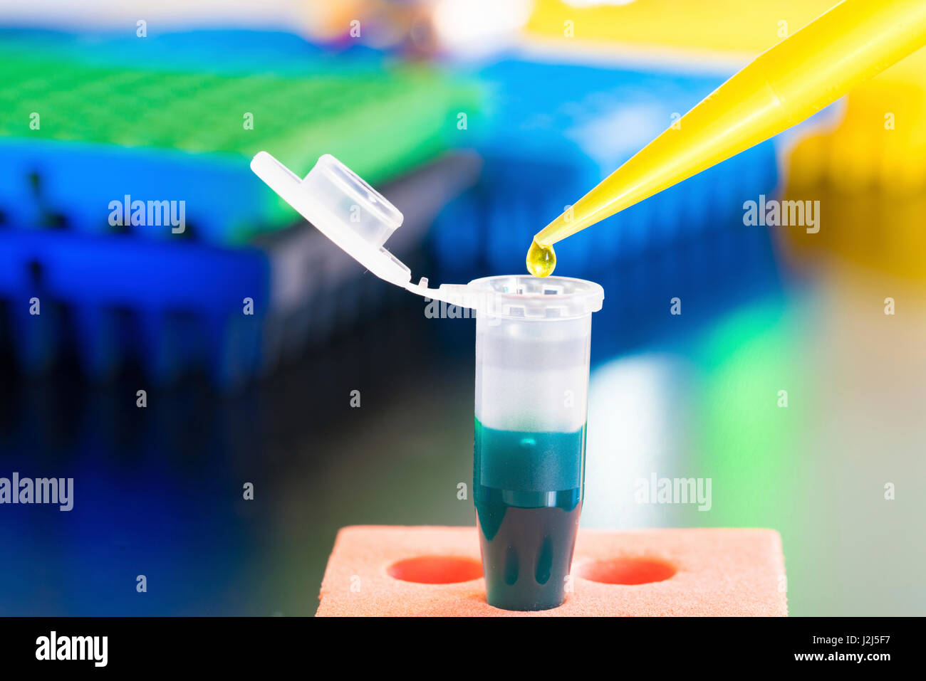 Eppendorf tube with pipette. Stock Photo
