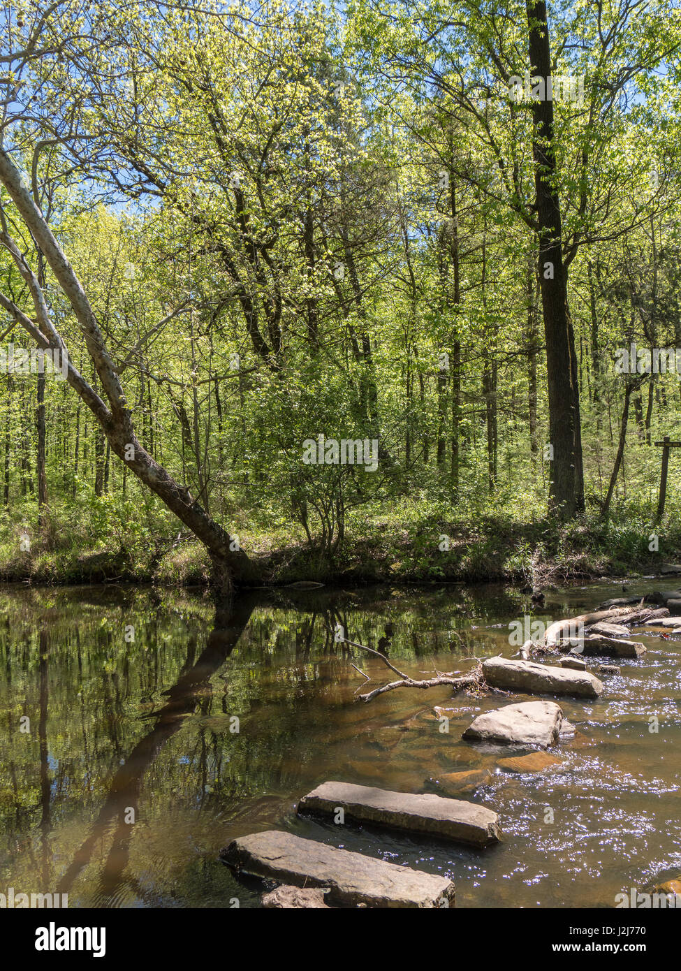 Blue Hole on Cedar Creek, Petit Jean State Park, Arkansas Stock Photo