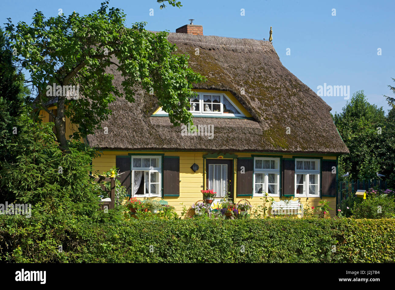 Thatchedroof house (captain's house) with garden in Born on the Darss peninsula Stock Photo Alamy