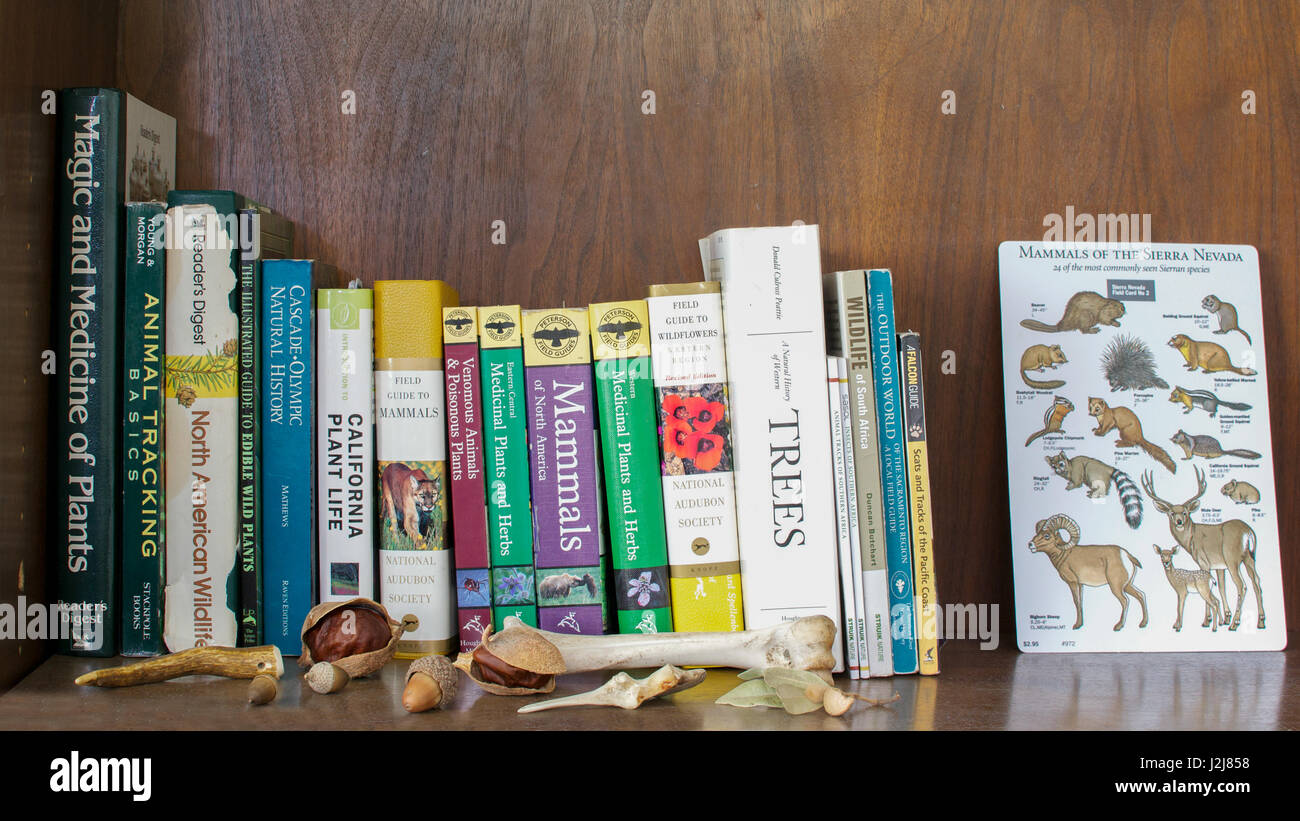 Wooden shelf with used books on California and the USA West Coast