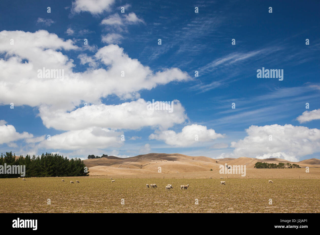 Greytown new zealand hires stock photography and images Alamy