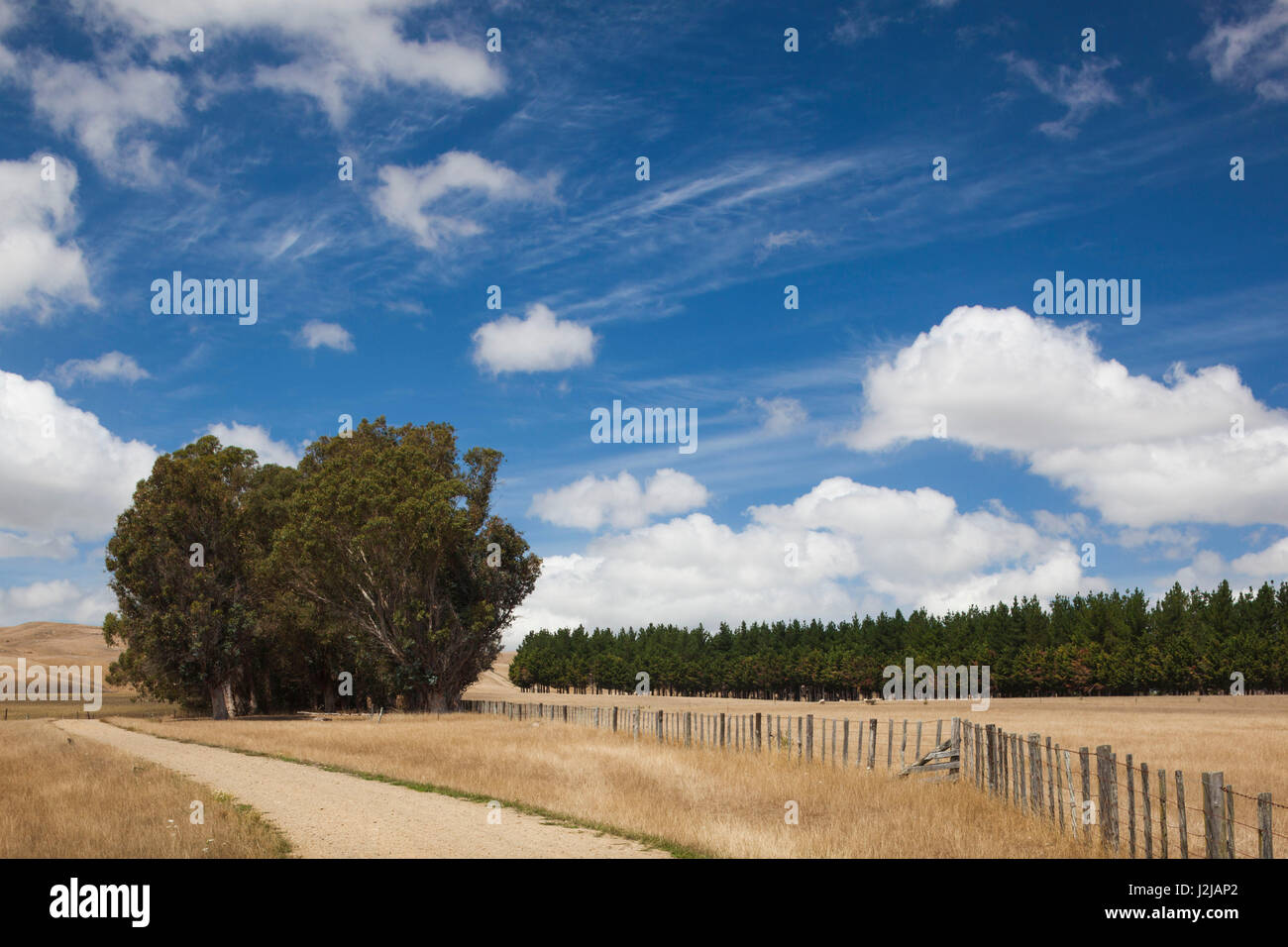 Greytown new zealand hires stock photography and images Alamy