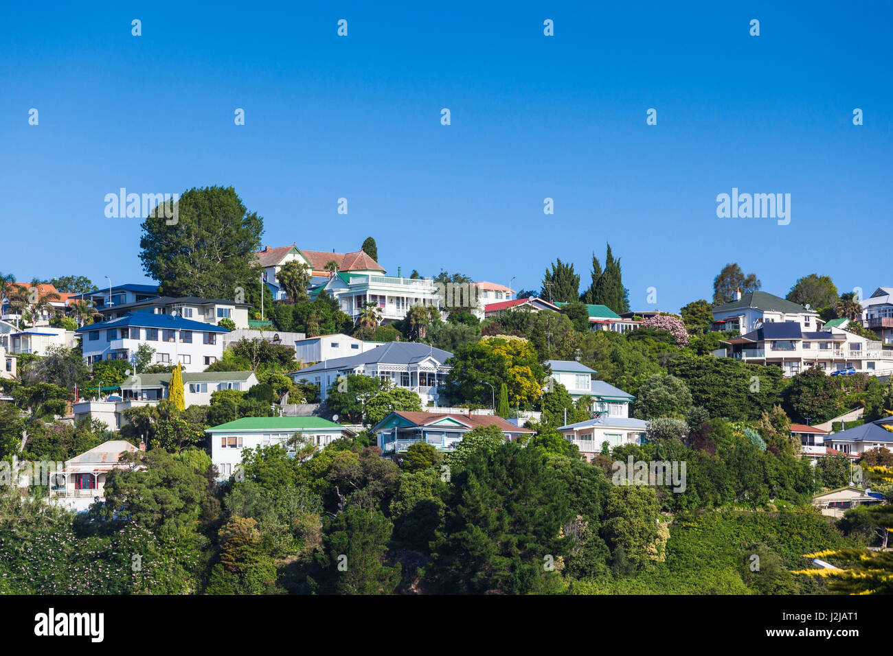New Zealand, North Island, Hawkes Bay, Napier, hillside houses Stock