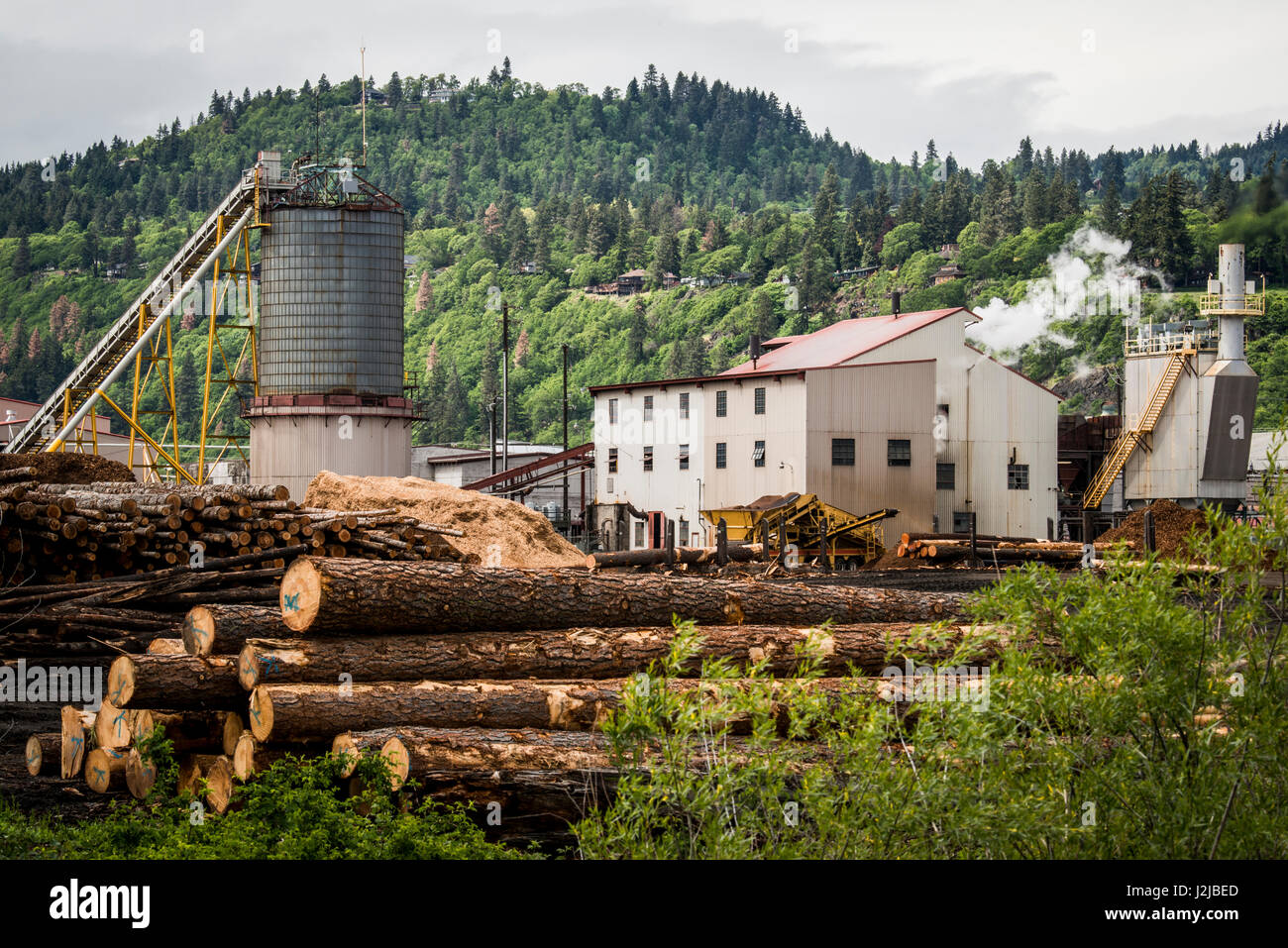 USA, Washington, Columbia River Basin, Bingen, sawmill (SDS Lumber Co