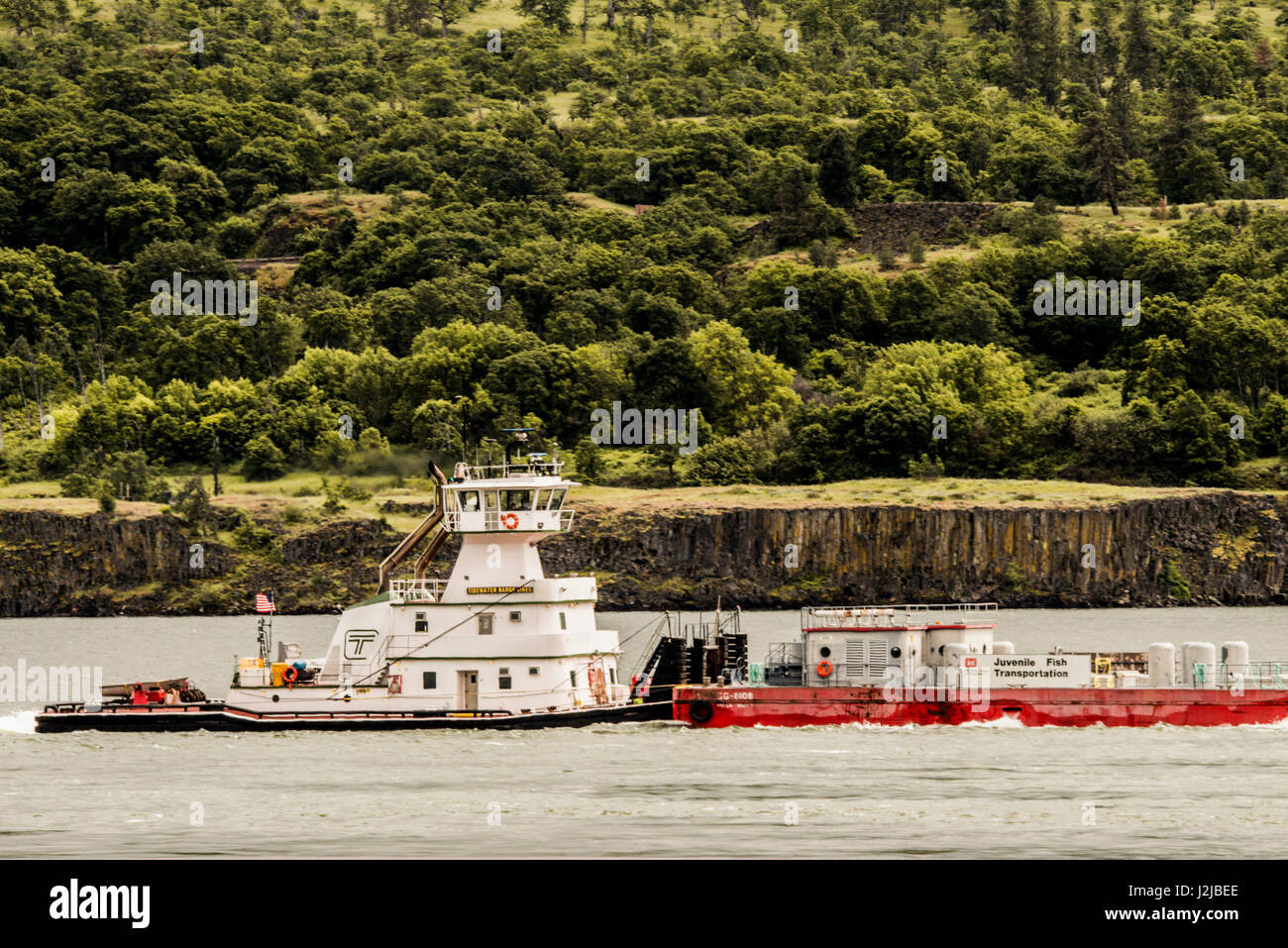 USA, Washington, Columbia River Basin, barge with USACE Juvenile Fish Transportation on Columbia River, east of Bingen Stock Photo