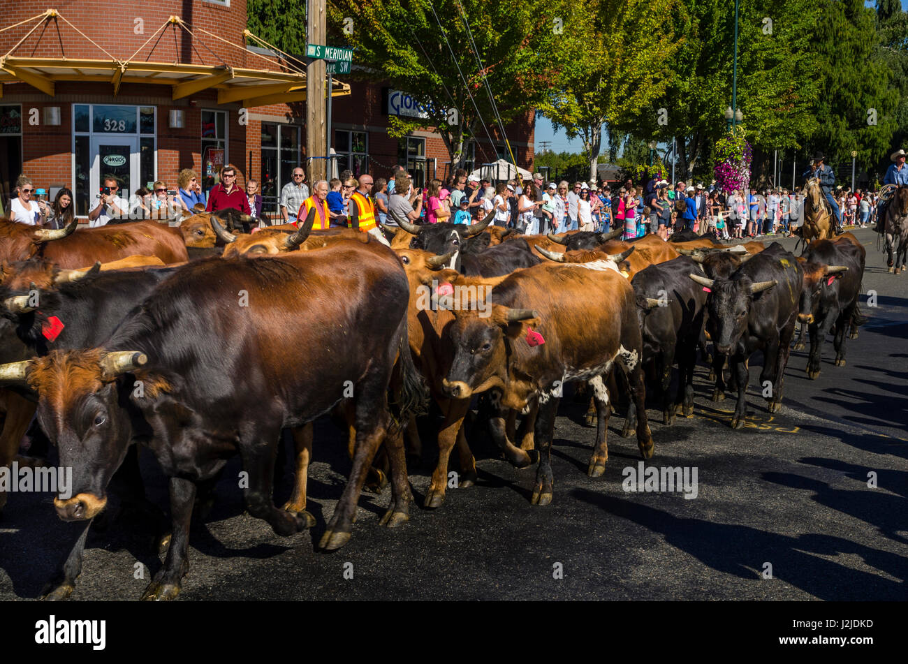 USA, Washington State, Puyallup. Western Rodeo Parade starts with