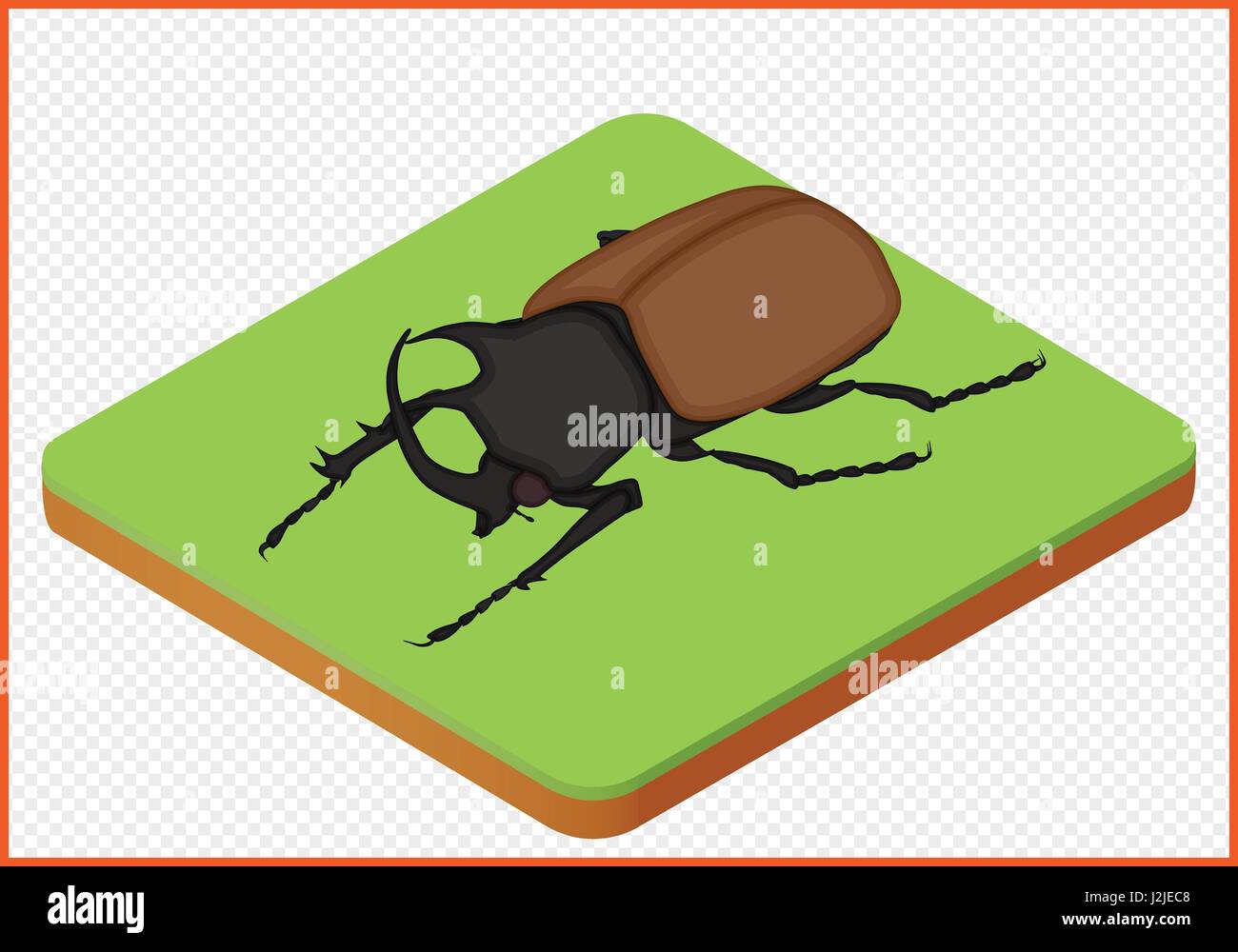 Beetle Bug Vector beetle vector eps Stock Vector Image & Art - Alamy