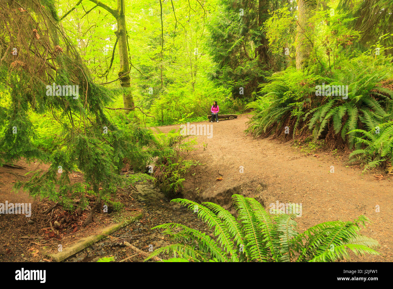 Woman, Schmitz Preserve Park, 53 acre Old Growth Forest in West Seattle, Washington State, USA (MR) Stock Photo