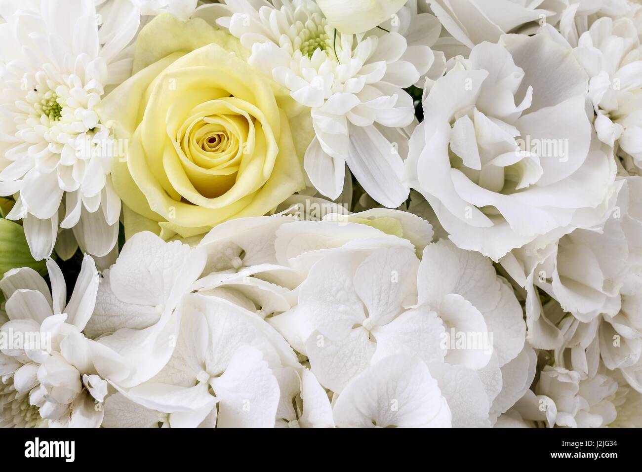 Luxurious floral arrangement with lilies, roses, eustoma, chrysanthemum