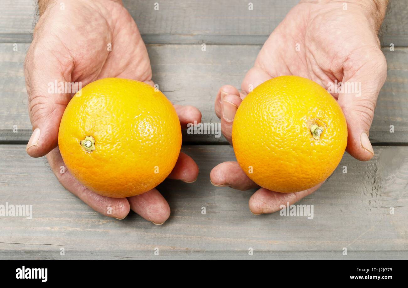 Hand holding two oranges hi-res stock photography and images - Alamy