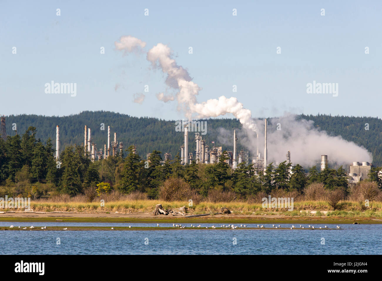 US, WA, Fidalgo Island, Anacortes. Oil refinery Stock Photo Alamy