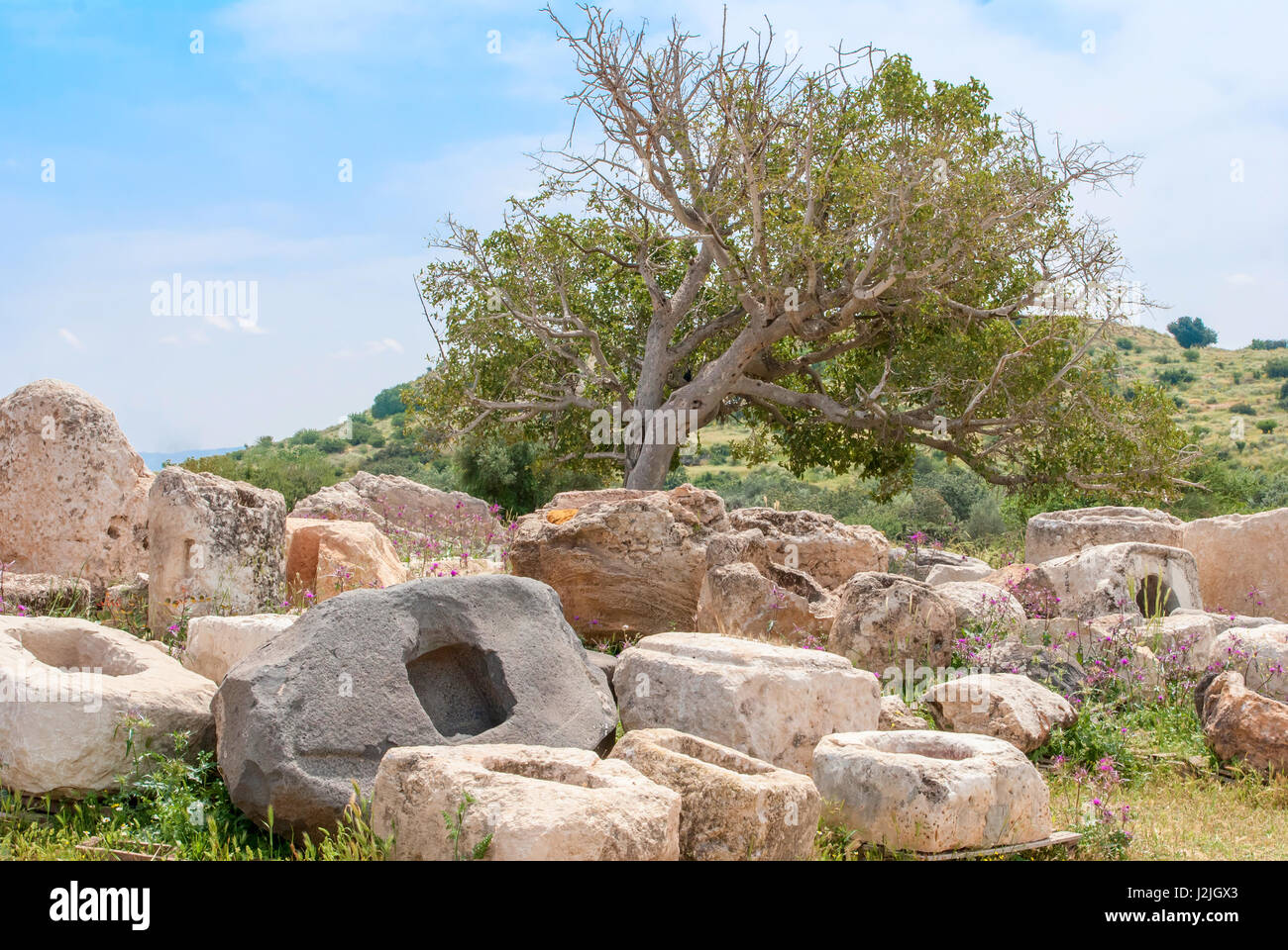 Archeological ruins ancient buildings in Beit Guvrin national Park, Israel. Stock Photo