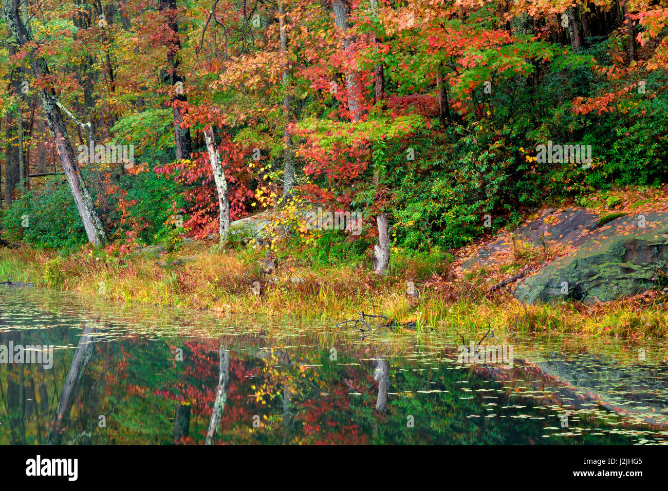 Babcock state park credit hi-res stock photography and images - Alamy