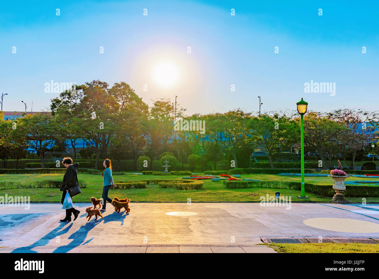 TAIPEI, TAIWAN - APRIL 03: Romantic sunset of people walking with group of small dogs in Taipei Expo park which is popular public park on April 03, 20 Stock Photo