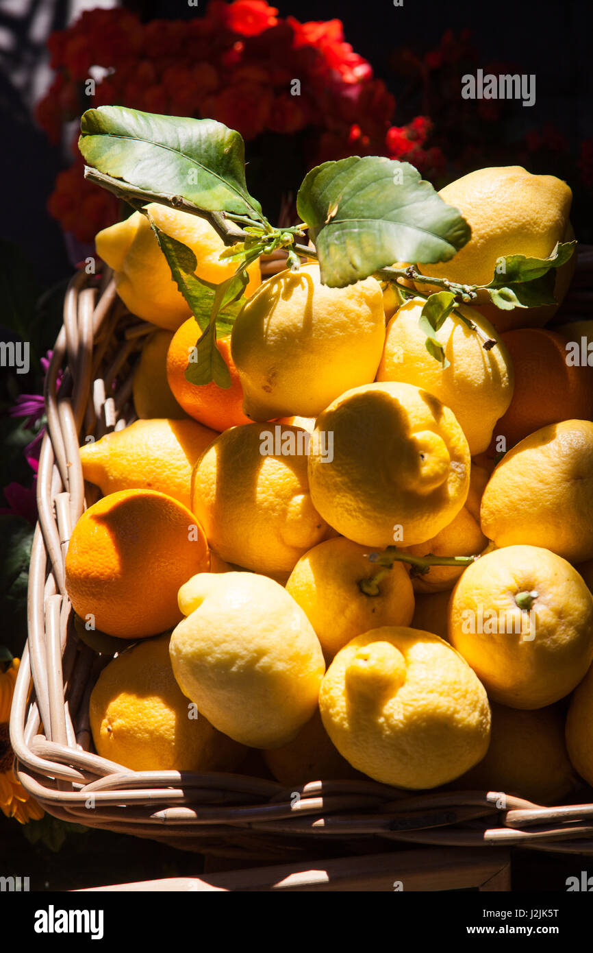 basket of fresh lemons on Amalfi Coast, Italy Stock Photo