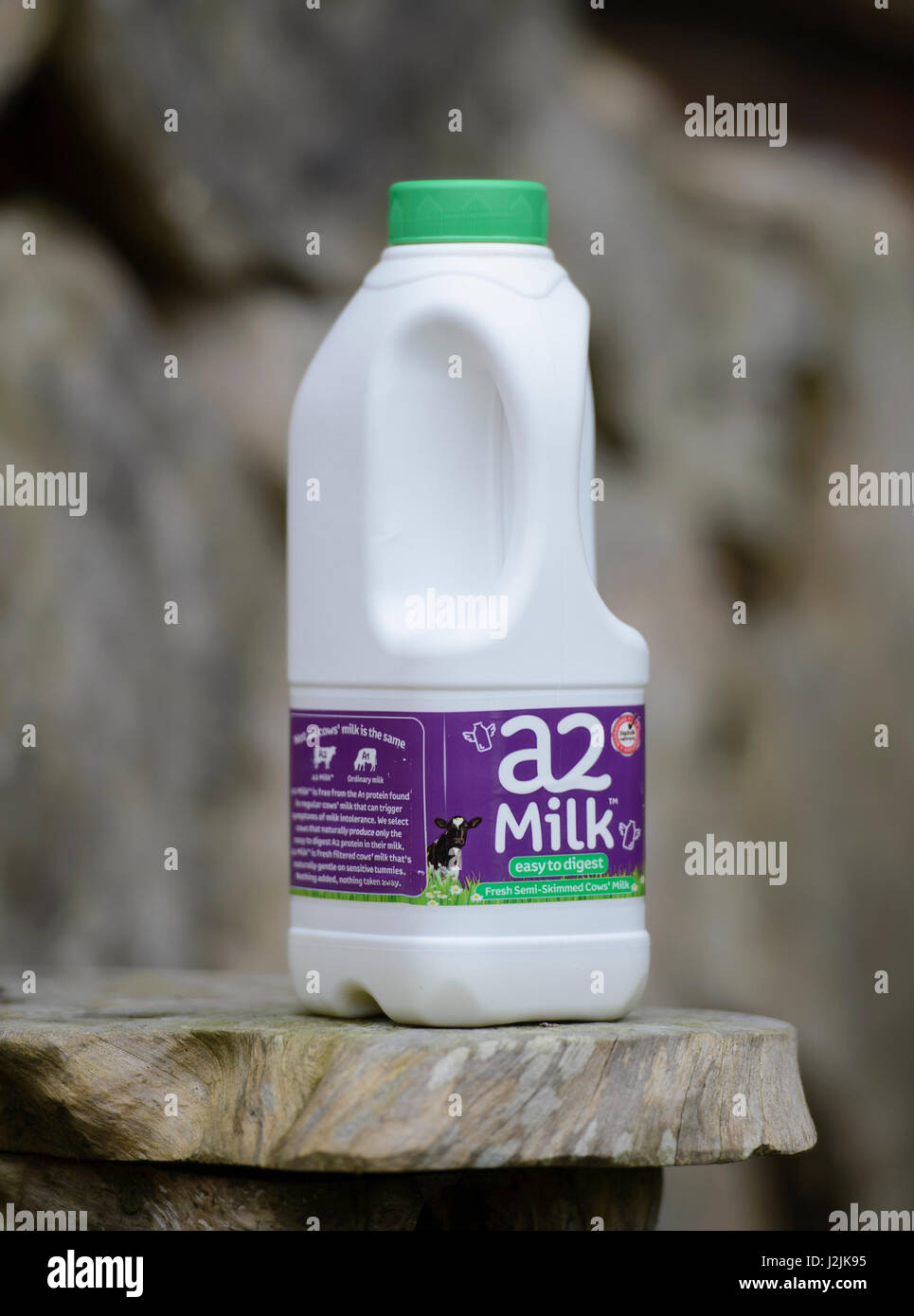 A plastic bottle of a2 milk. Stock Photo