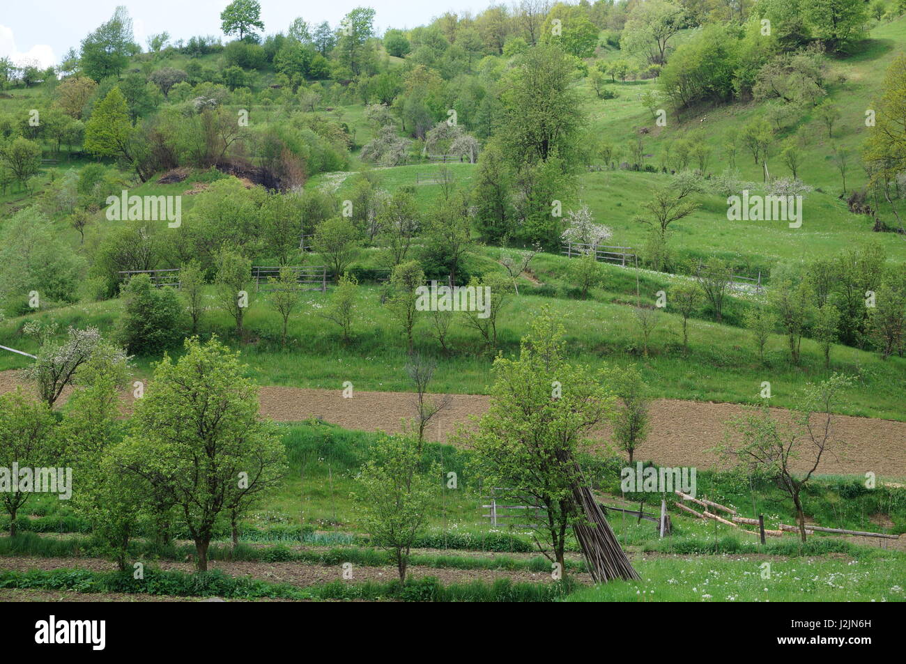 Typical rural scene idyll hi-res stock photography and images - Alamy